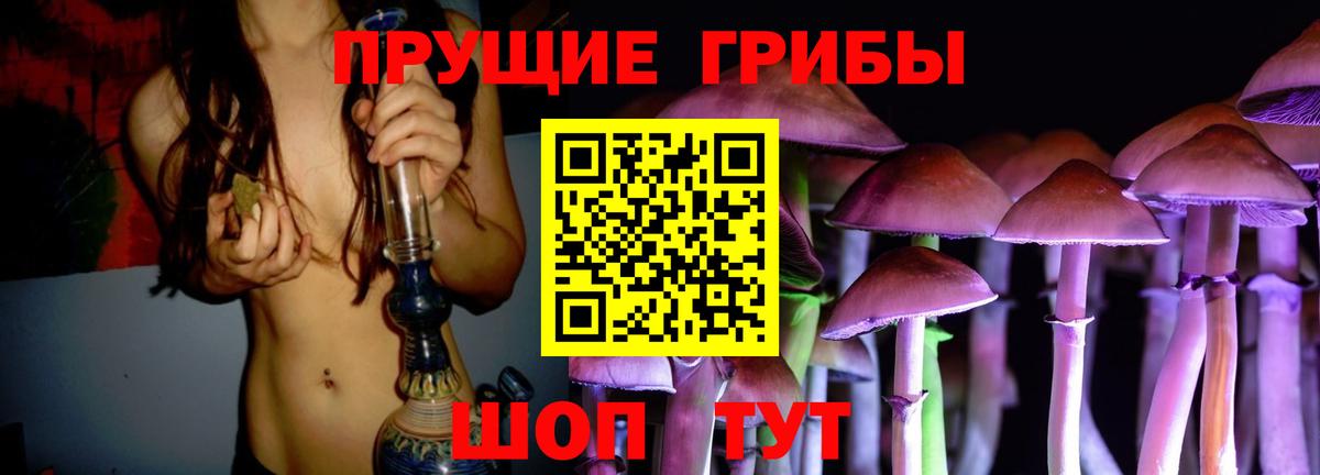 Псилоцибиновые грибы Cubensis  Галлюциногенные грибы MAGIC MUSHROOMS  Видное  Вход с VPN 